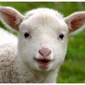 Like something? Make an offer!!